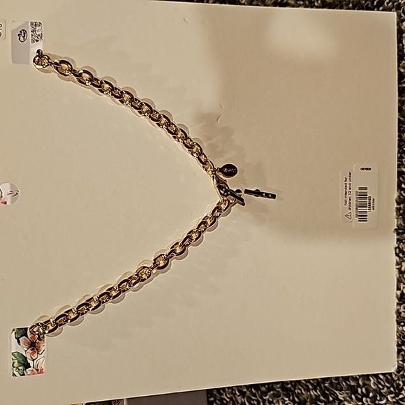 Express Gold Tone Statement Tassel Necklace - Picture 3 of 4